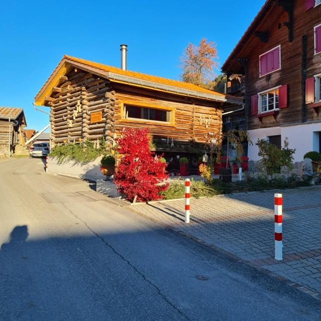 Chesa Prema Bed & Breakfast - Restaurant Disentis Extérieur photo