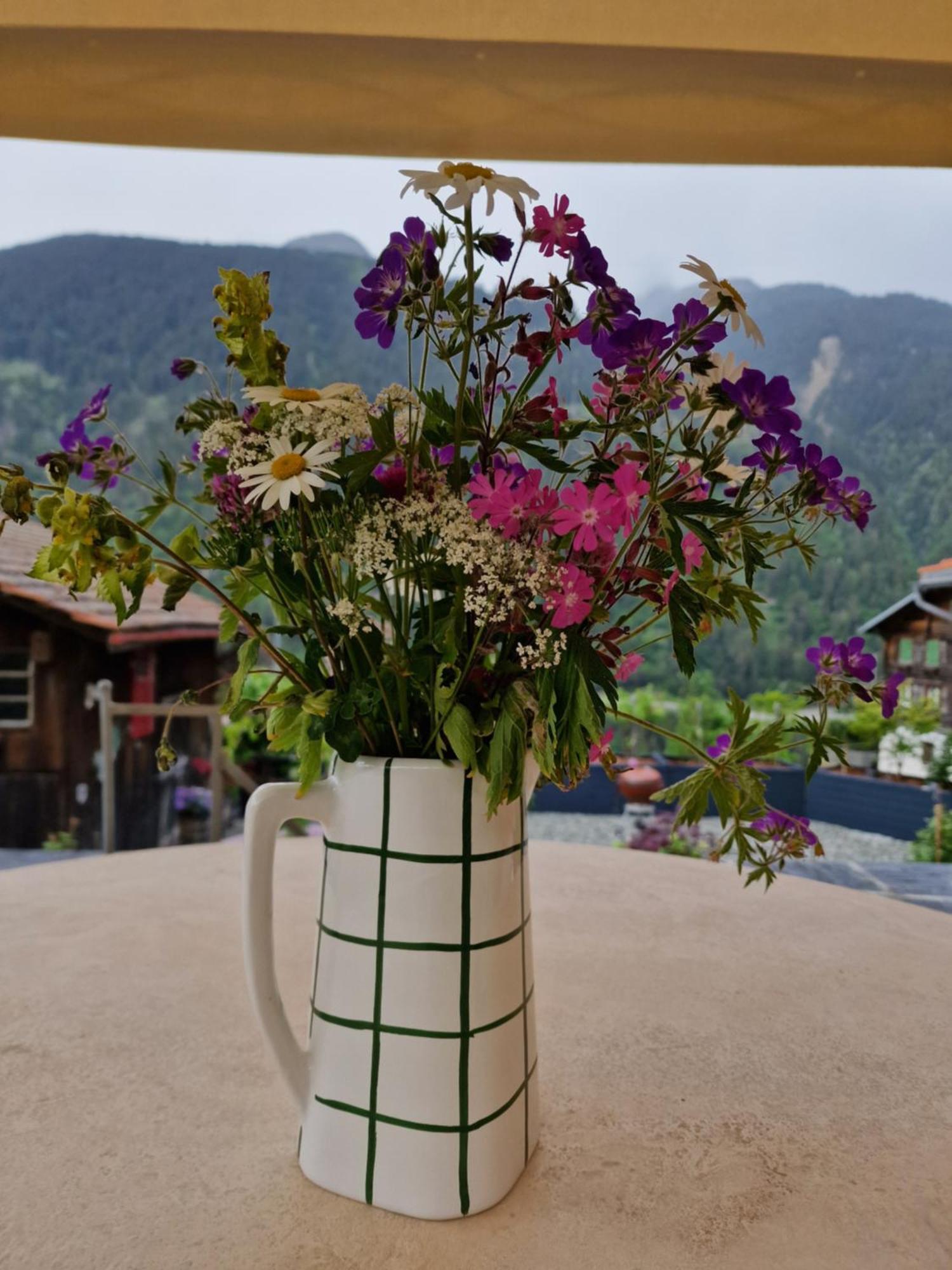 Chesa Prema Bed & Breakfast - Restaurant Disentis Extérieur photo
